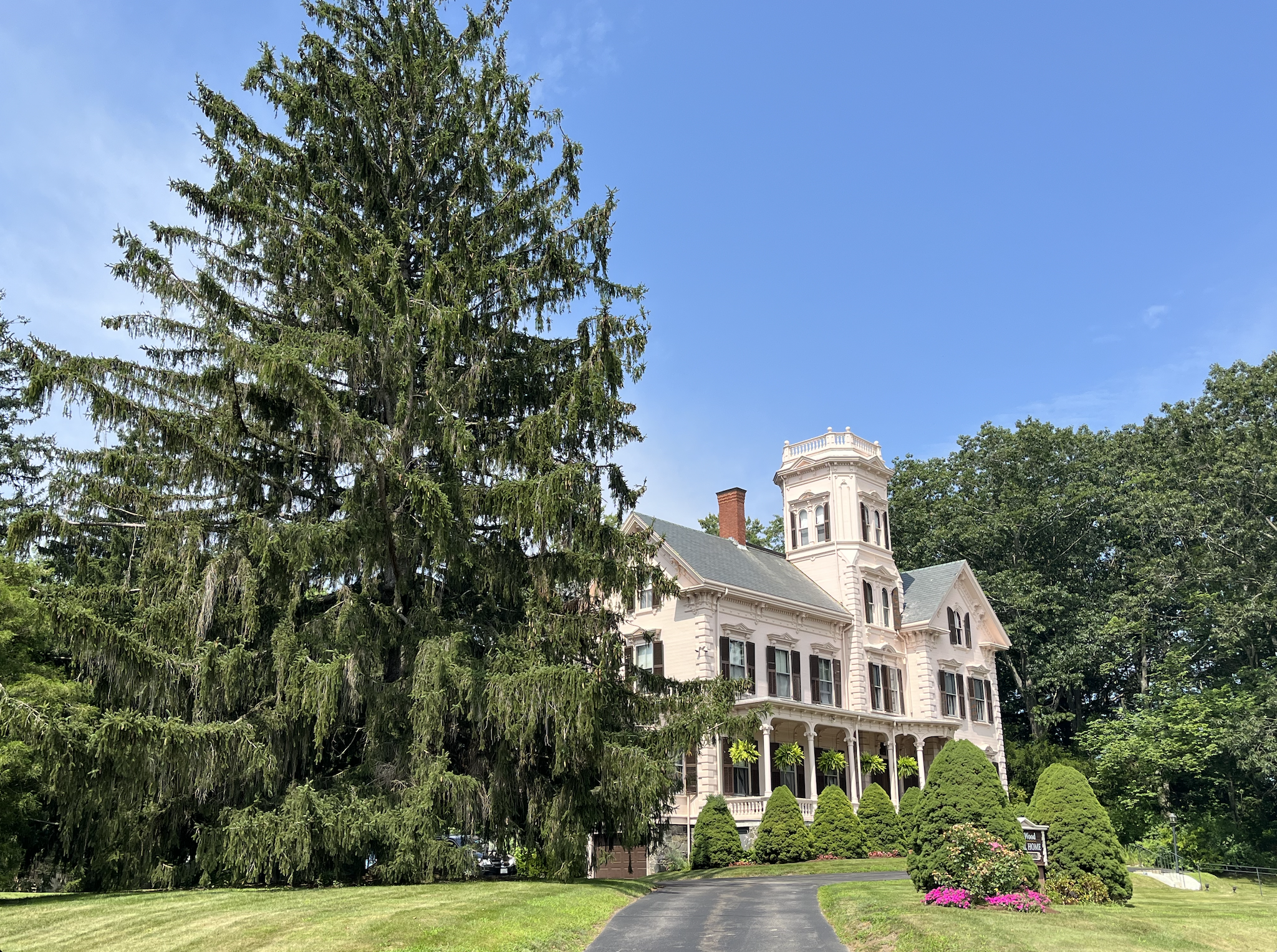 Who Says You Can’t Go Home? Who Says You Can’t Go Home?