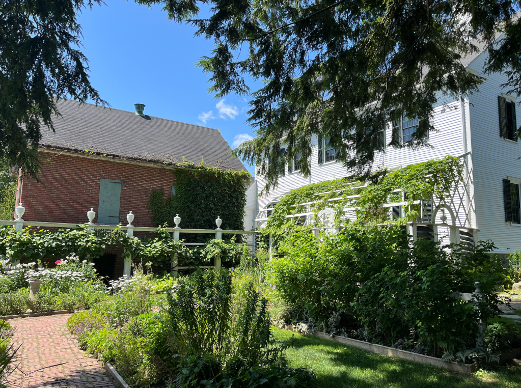 Two old colonial New England houses covered in vines