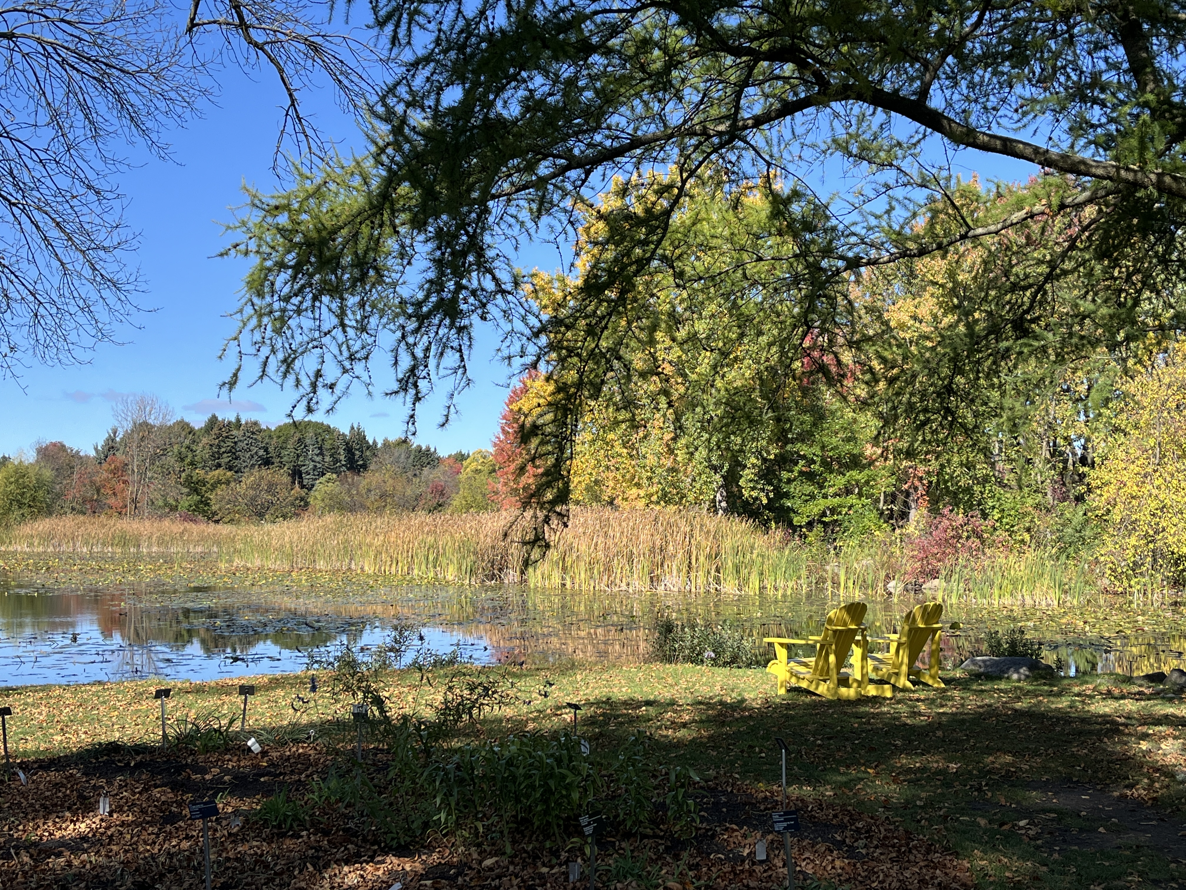 The Great White North! The Great White North!